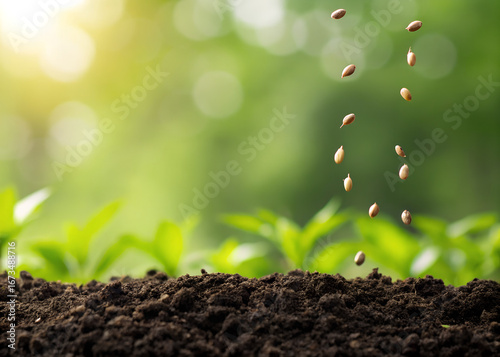 Seeds falling into rich dark soil against a soft green background