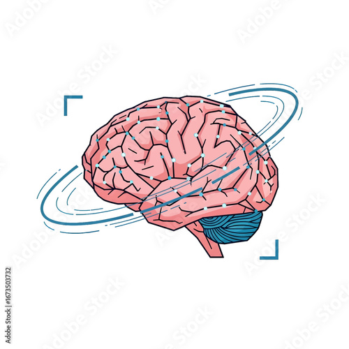 Stylized Brain with Pink and Blue Accents Scientific Conceptualization on White Background