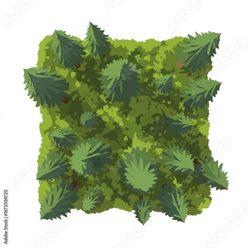 Overhead Pixel Art of Dense Evergreen Forest with Coniferous Trees in Green