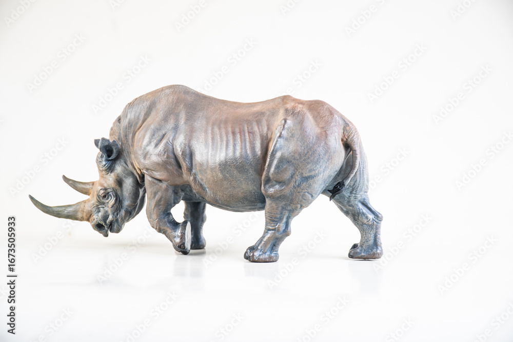 Fototapeta premium black rhino on isolated background