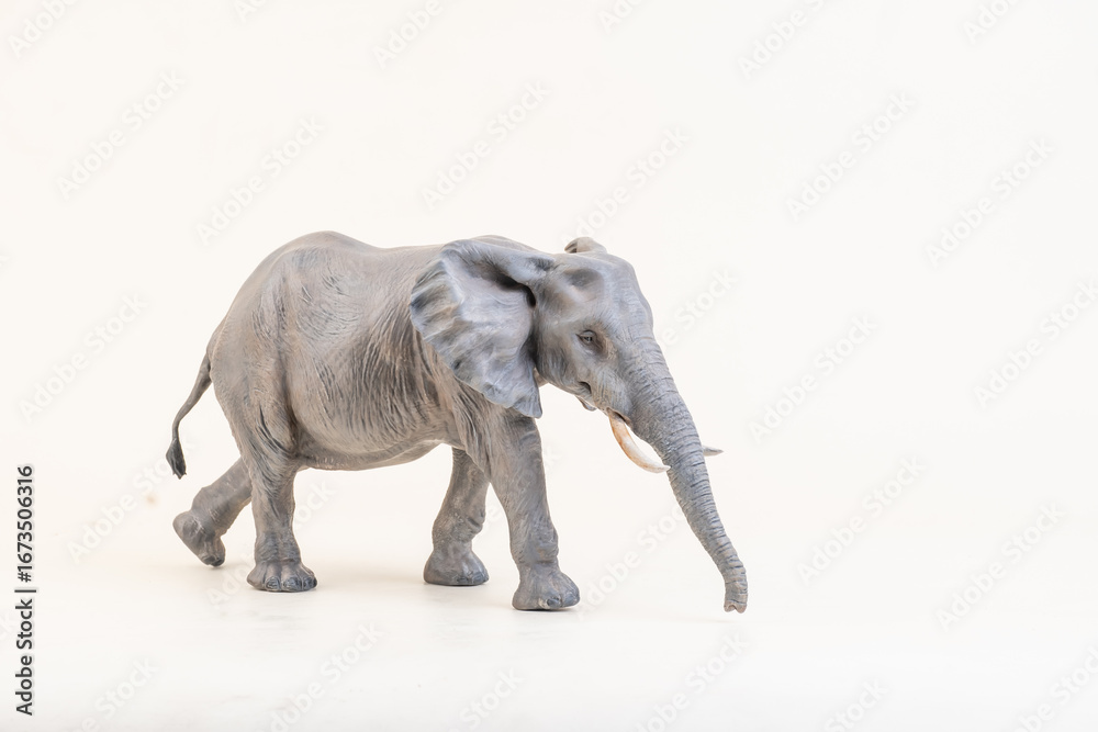 Fototapeta premium African elephant on isolated background