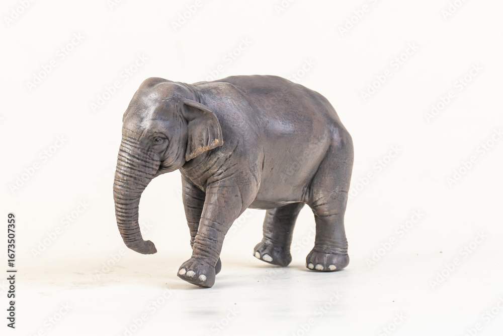 Obraz premium asian elephant on isolated background