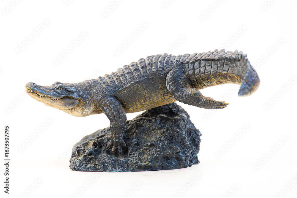 Obraz premium Nile crocodile animal on isolated background