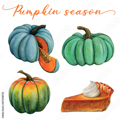 Watercolor hand drawn realistic pumpkins and pumpkin pie