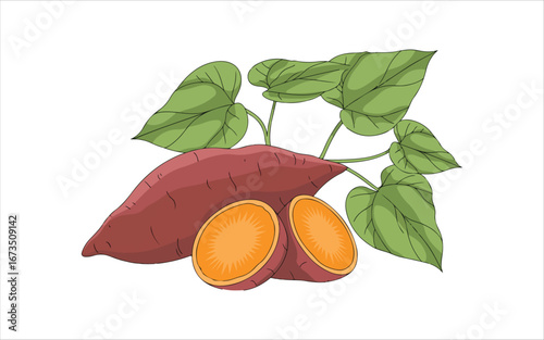 acorn with leaves