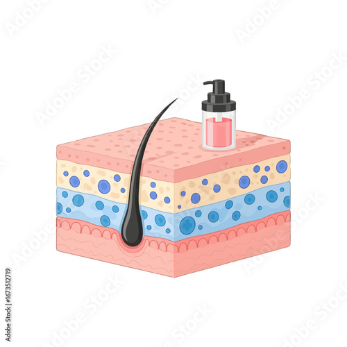 Illustration of Hair Follicle and Skin Layers with a Pink Liquid Dispenser on Top in White Background