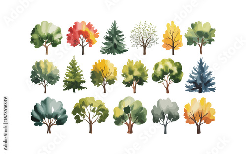 Various tree vectors. Forest and nature concept. Collection of different tree symbols. Education and training poster design. Vector drawn for plant and tree presentation.