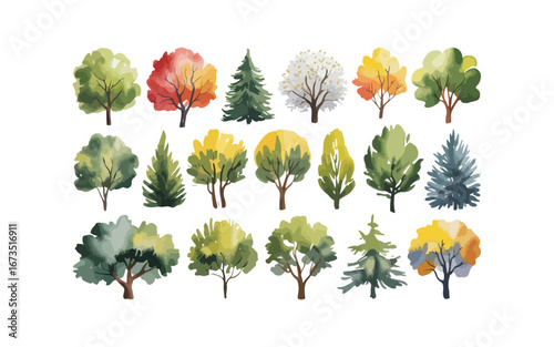 Various tree vectors. Forest and nature concept. Collection of different tree symbols. Education and training poster design. Vector drawn for plant and tree presentation.