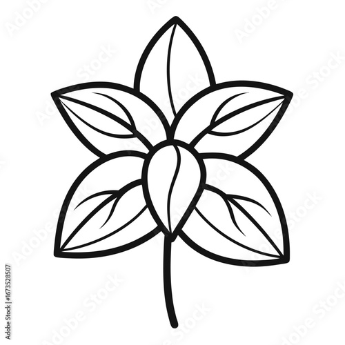 wax plant hoya carnosa line art vector  on-white
