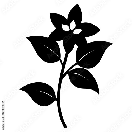 wax plant hoya carnosa silhouette vector illustration isolated