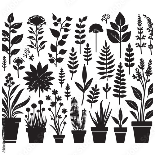 field silhouette Background material, Flowering plant