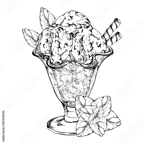 Waffle roll sticks, mint leaves on gelato sorbet ice cream scoops in glass tulip sundae bowl. Vector graphic illustration hand drawn in pen and ink. Dessert snack branding, frozen treat packaging