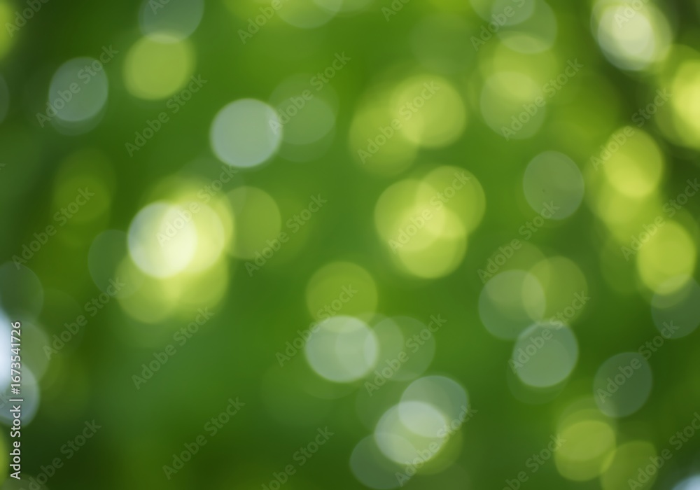 Obraz premium Abstract Green Bokeh Background with Defocused Lights and Natural Leafy Texture for Graphic Design and Web Projects