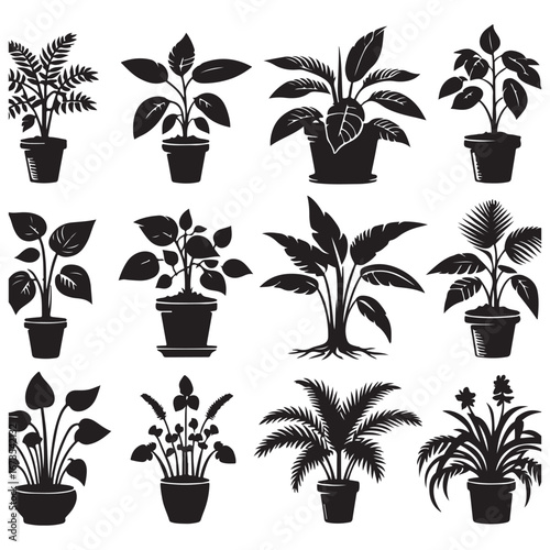 field silhouette Background material, Flowering plant