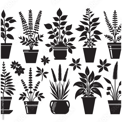 field silhouette Background material, Flowering plant