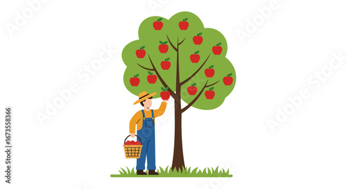 Farmer picking apples from a tree with a basket full of apples