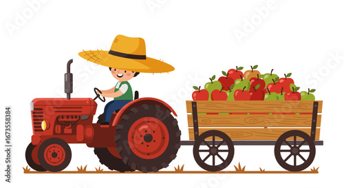 Farmer on red tractor with applefilled trailer drives on grass