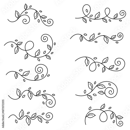 Set of floral curl elements. Decorative nature dividers with leaves.