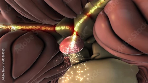 Human Brain with Glowing Pituitary Gland Hormone