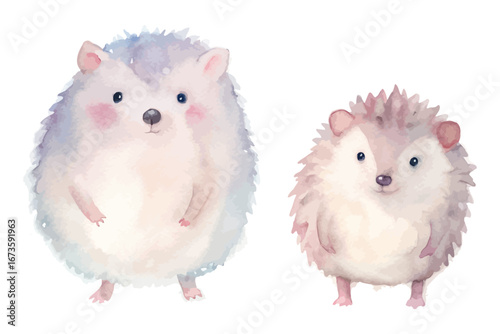 cute watercolor woodland hedgehog animals