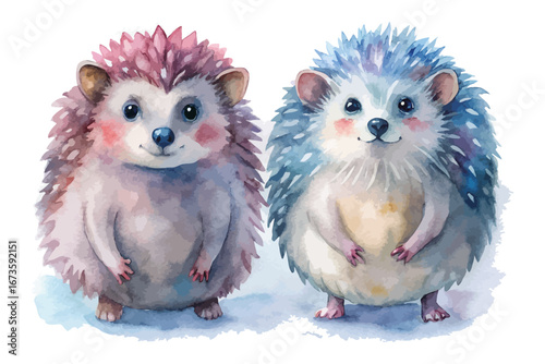 watercolor woodland hedgehog animals