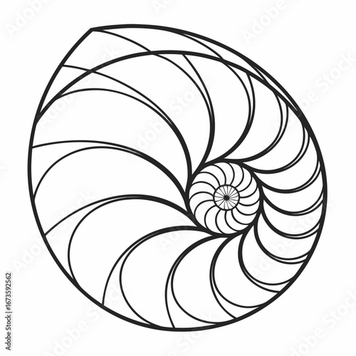 Detailed black and white nautilus shell illustration with spiral chambers and intricate line work design created with generated ai