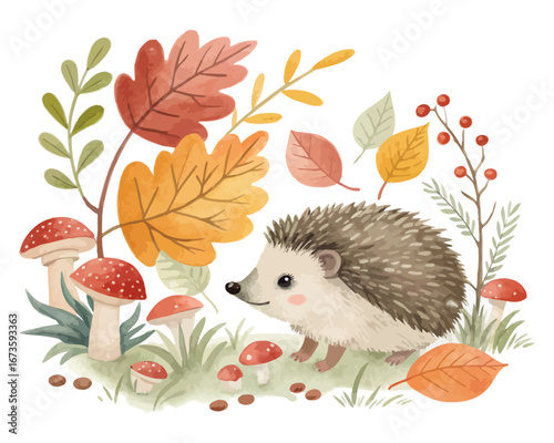 watercolor woodland hedgehog animals