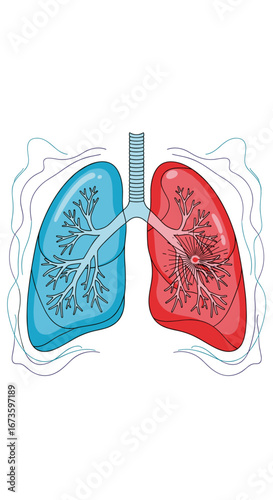 Understanding the human respiratory system and the importance of healthy lungs for overall well-being