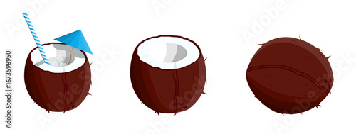 Set of three coconut designs. Tropical coconut cocktail with straw and umbrella. Whole and half coconut for summer drink menu.