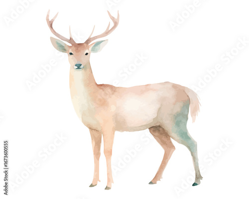 cute Watercolor woodland deer animals