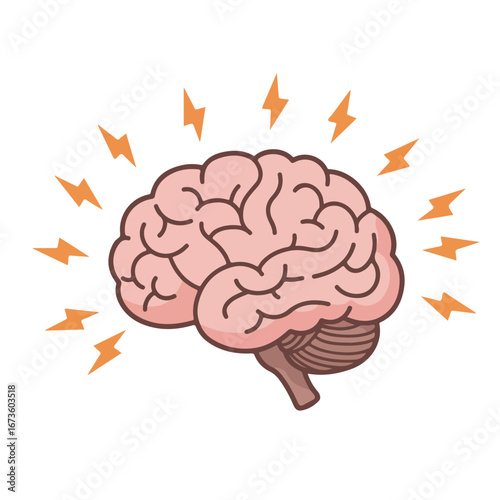 Brain Awareness Understanding the Power and Potential of Your Mind