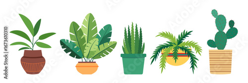 Collection of indoor plants in ceramic pot. Flat vector illustration. Green foliage plant for decoration of home, balcony, terrace, garden, patio, veranda, office, living room. 