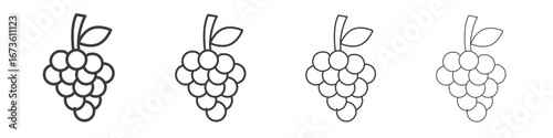 Grape icon symbol. Vector isolated illustration.