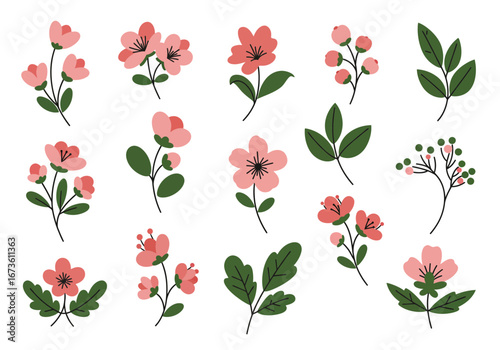 Set of botanical plant with flowers flat style art element design