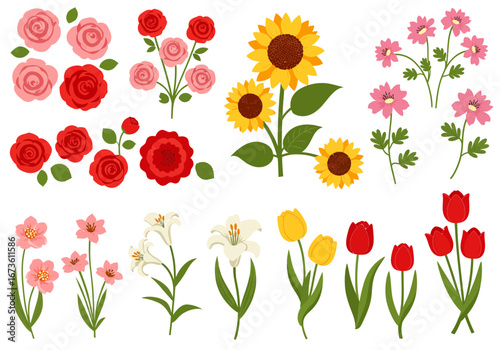 Set of botanical plant with flowers flat style art element design