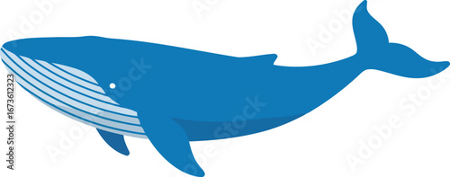 Majestic blue whale swimming ocean marine life sea creature illustration vector