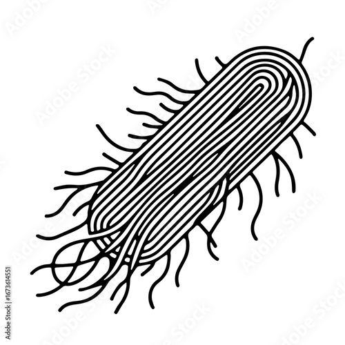 Line Art Illustration of a Bacterium