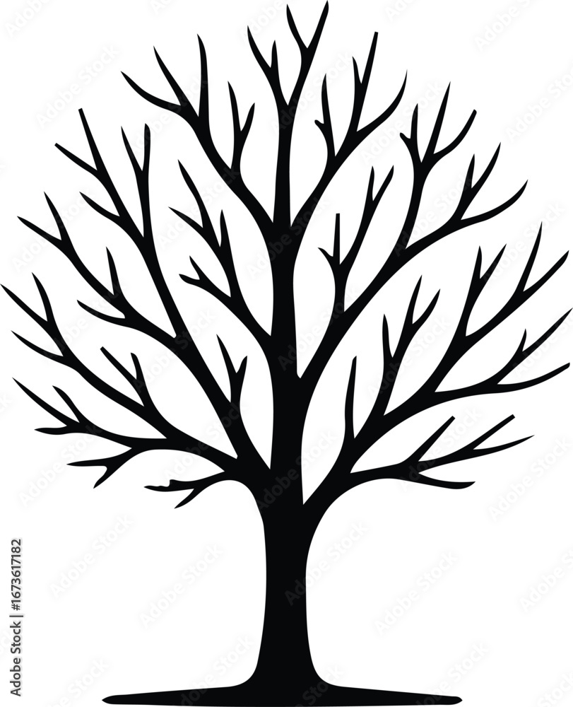 Obraz premium Illustrator Vector Leafless tree branches nature bare plant silhouette