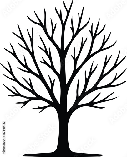 Illustrator Vector Leafless tree branches nature bare plant silhouette
