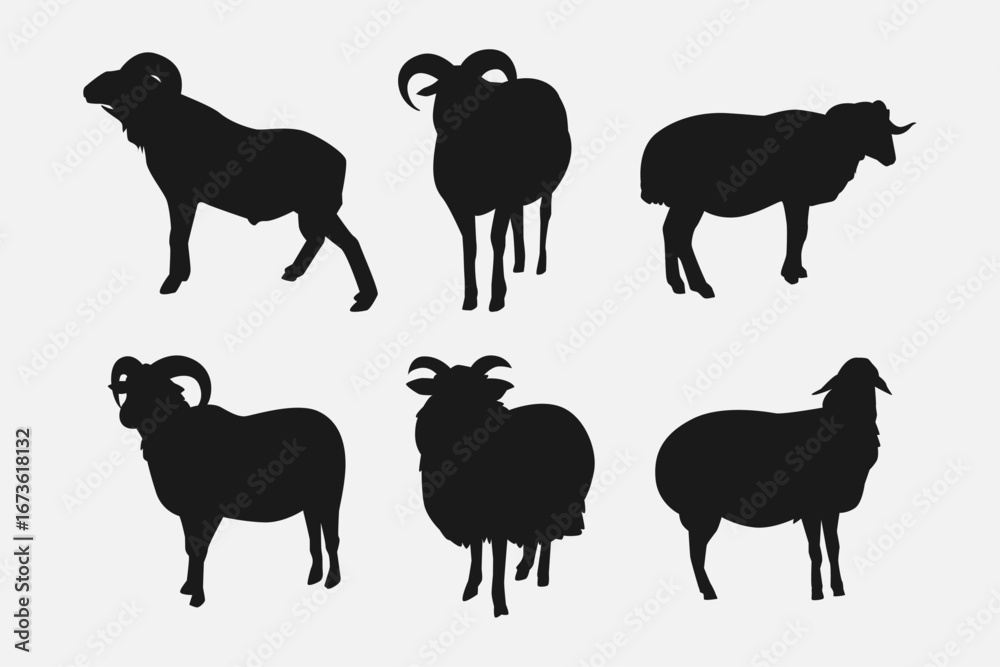 Fototapeta premium set of silhouettes of sheep with different poses, gestures. isolated on white background. vector illustration.