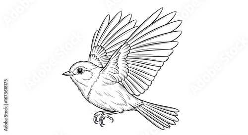 Detailed Line Art Sketch of a Small Flying Bird.