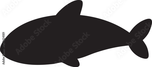 vector illustration of a shark