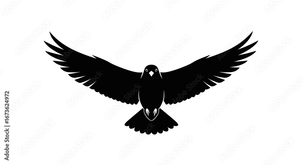 Obraz premium Black Bird Silhouette with Spread Wings, Flying Downward.