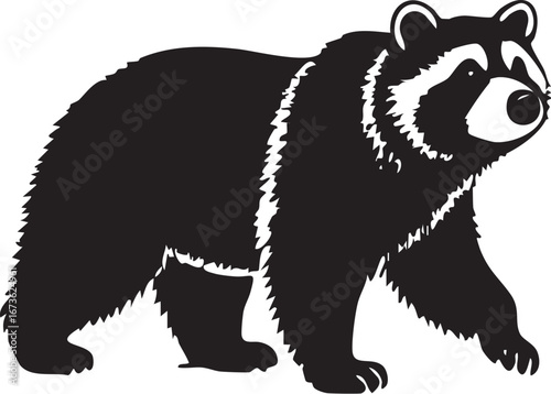 bear on a white background