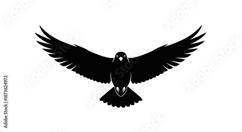Black Bird Silhouette with Spread Wings, Flying Downward.