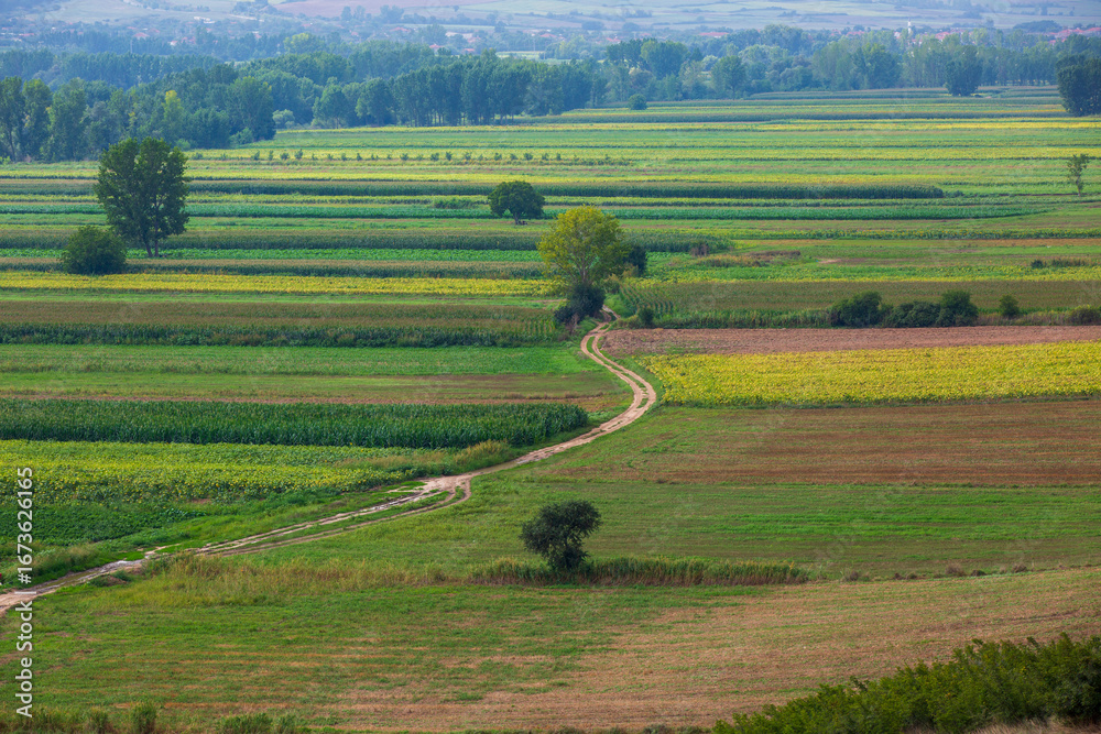 Fototapeta premium General view of the agricultural area and dirt road in the Trakya region