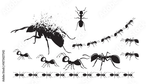 A dynamic black-and-white vector illustration showcases a colony of ants in various poses, marching, standing, and one disintegrating into particles, against a clean white background