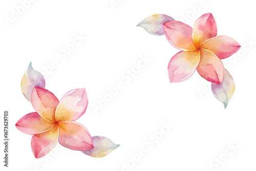 Watercolor tropical Plumeria floral frames