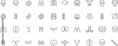A diverse collection of thin line icons featuring anatomy, biology, and esoteric symbols. Modern minimalist vector design set for web and print 24