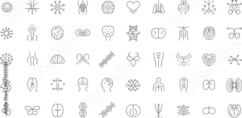 Detailed set of thin line vector icons representing various biological structures, human anatomy, and scientific concepts for medical research and education